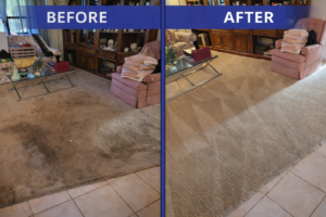 Carpet cleaning transformation comparison (1)